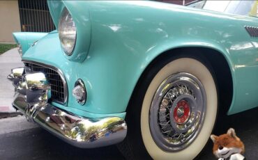 Ford-T-Bird-1955-Convertible-21