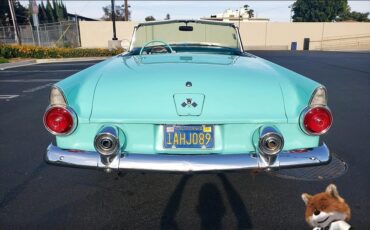 Ford-T-Bird-1955-Convertible-23