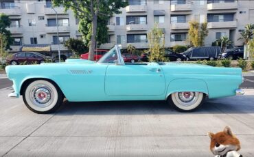 Ford-T-Bird-1955-Convertible-24