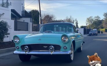 Ford-T-Bird-1955-Convertible-34