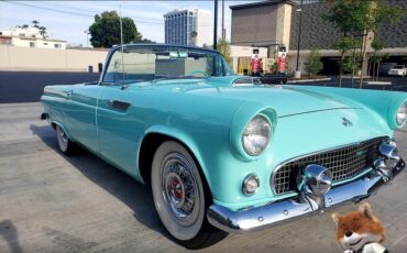 Ford-T-Bird-1955-Convertible