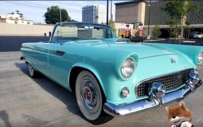 Ford T-Bird 1955 Convertible