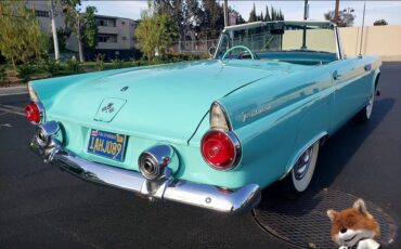 Ford-T-Bird-1955-Convertible-7