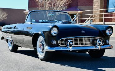 Ford-Thunderbird-1955-16