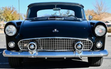 Ford-Thunderbird-1955-18