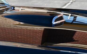 Ford-Thunderbird-1955-19