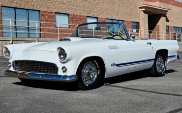 Ford-Thunderbird-1955-3