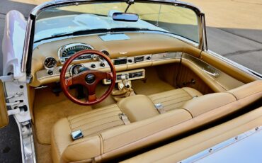 Ford-Thunderbird-1955-37