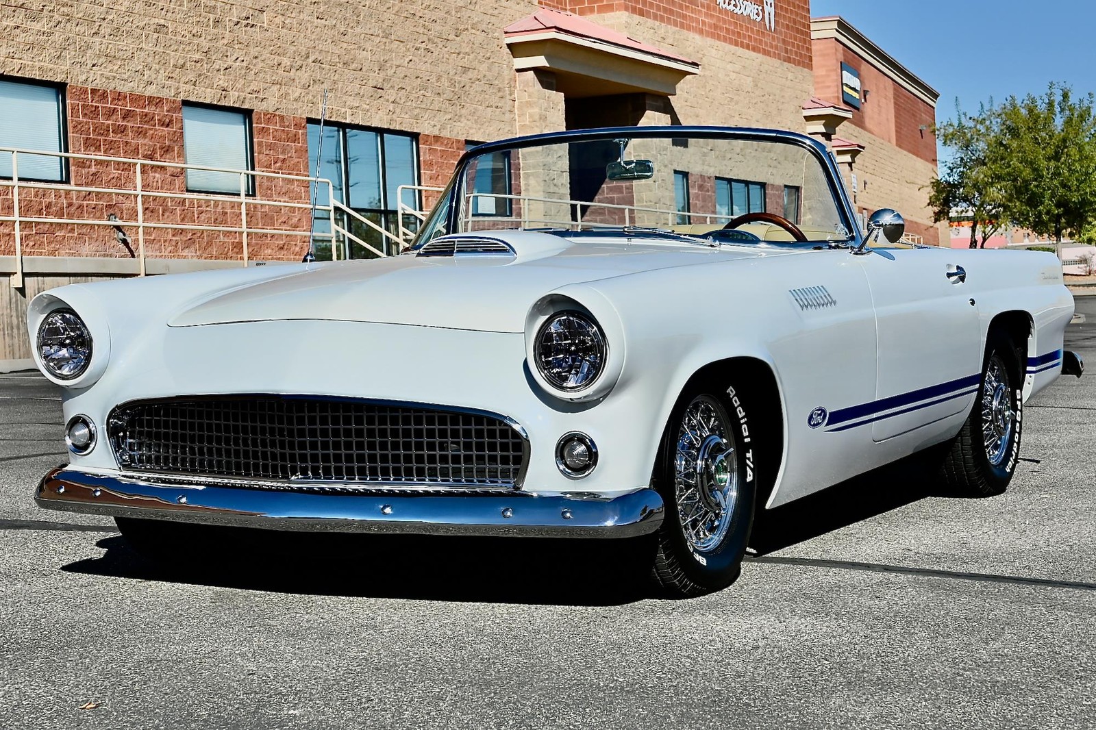 Ford Thunderbird 1955 --