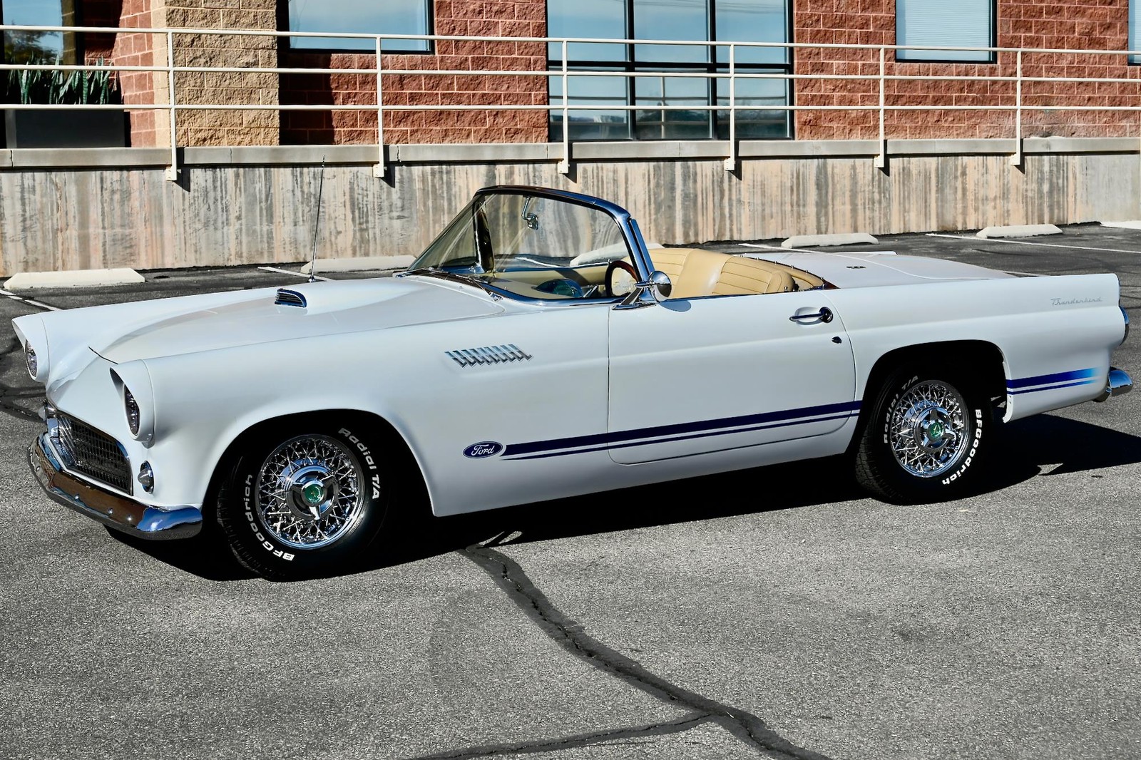 Ford-Thunderbird-1955-5