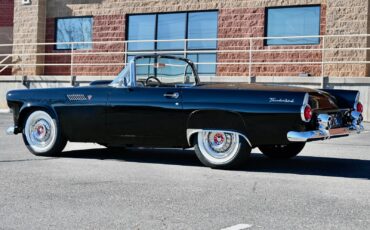 Ford-Thunderbird-1955-5