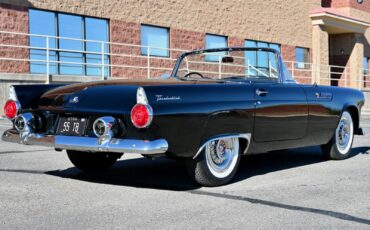 Ford-Thunderbird-1955-9