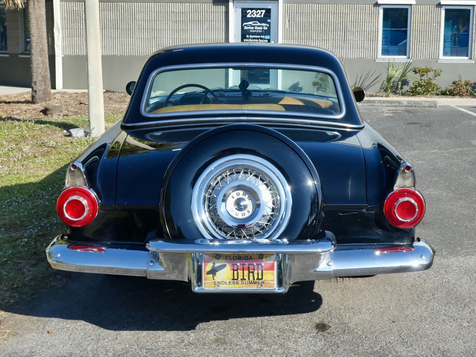 Ford-Thunderbird-1956-Convertible-18
