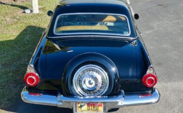 Ford-Thunderbird-1956-Convertible-19