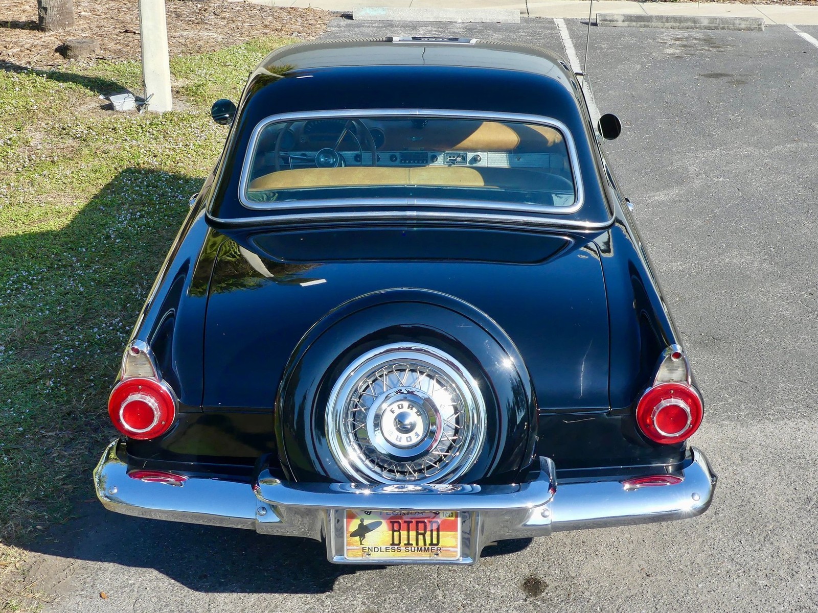 Ford-Thunderbird-1956-Convertible-19