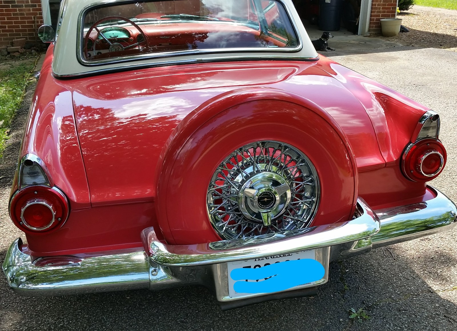 Ford-Thunderbird-1956-Convertible-4