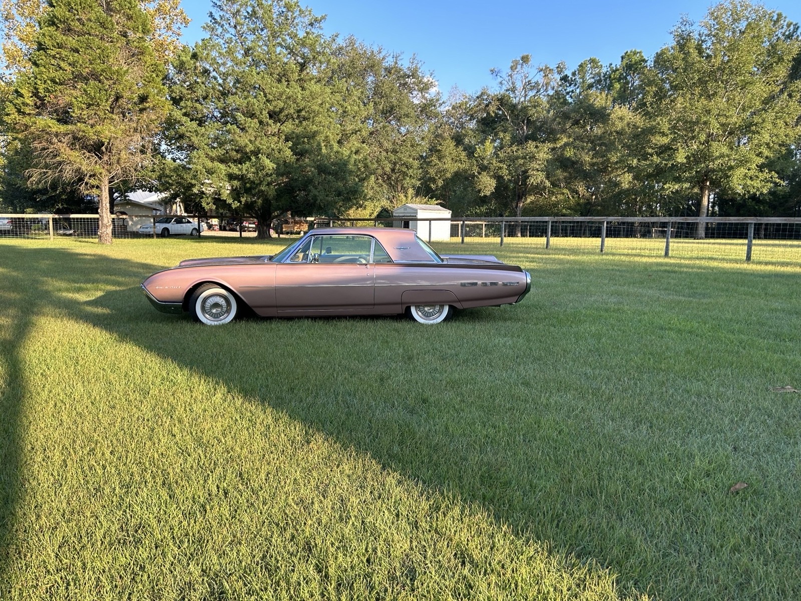 Ford-Thunderbird-1962-Coupe-1