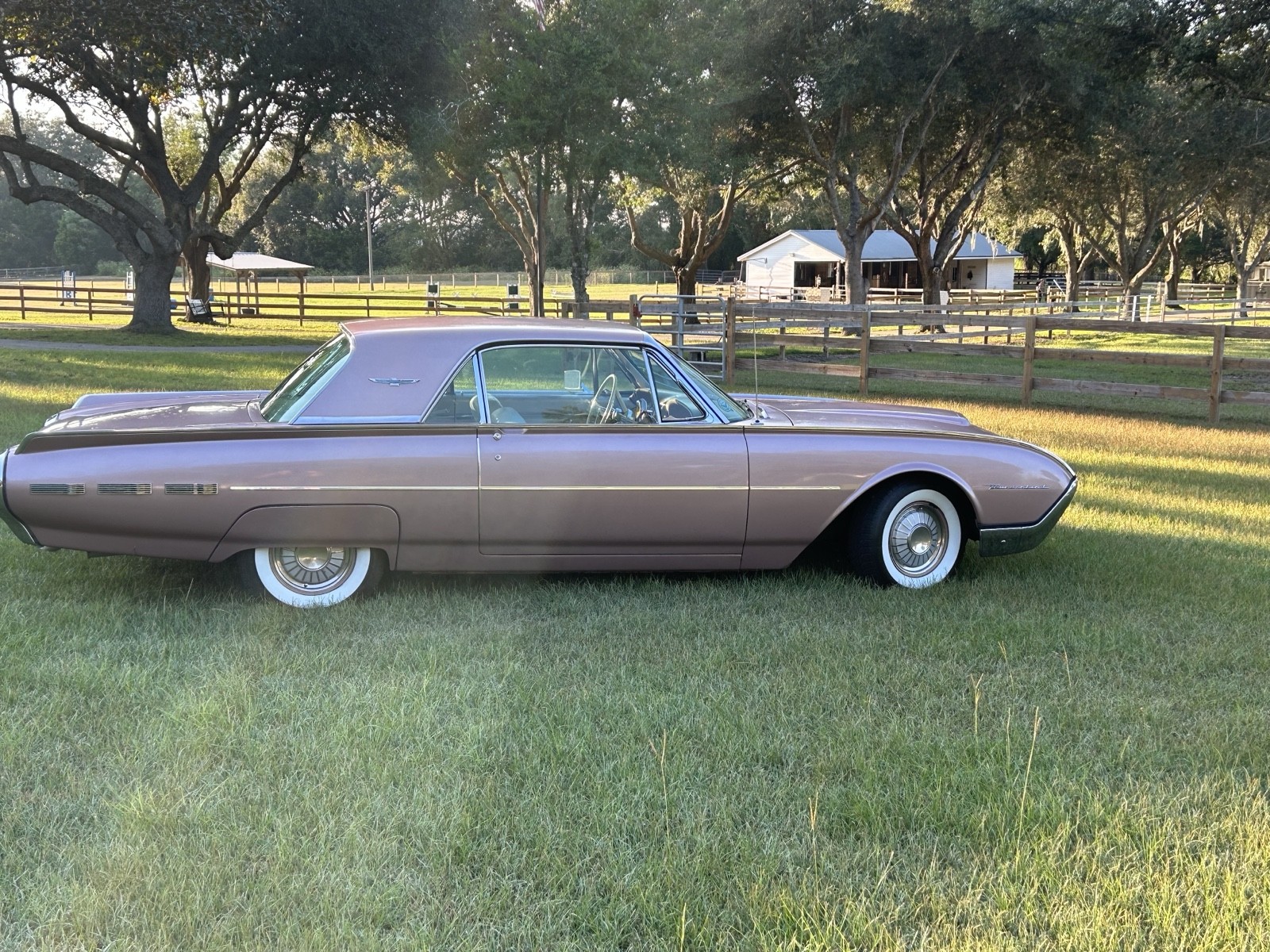 Ford-Thunderbird-1962-Coupe-2
