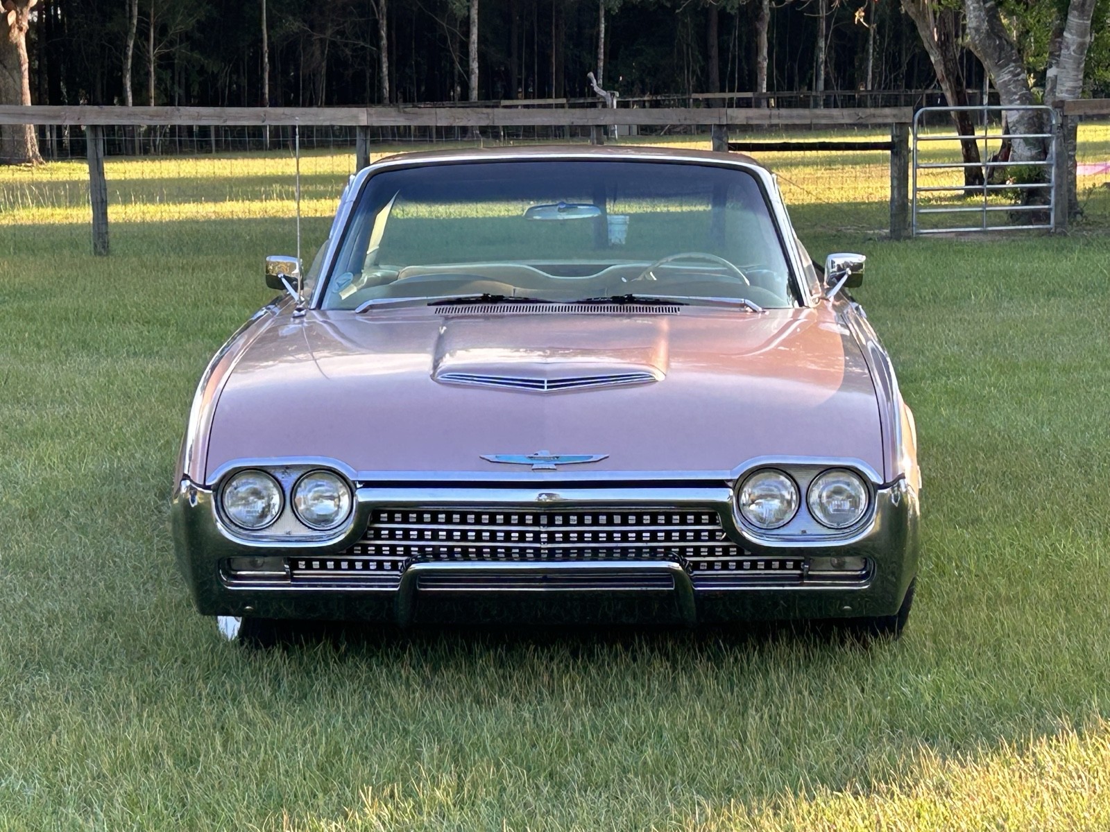 Ford-Thunderbird-1962-Coupe-4