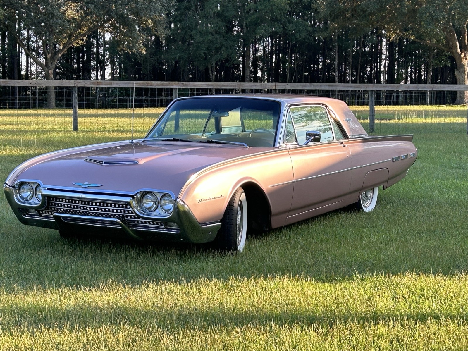 Ford Thunderbird 1962 Coupe