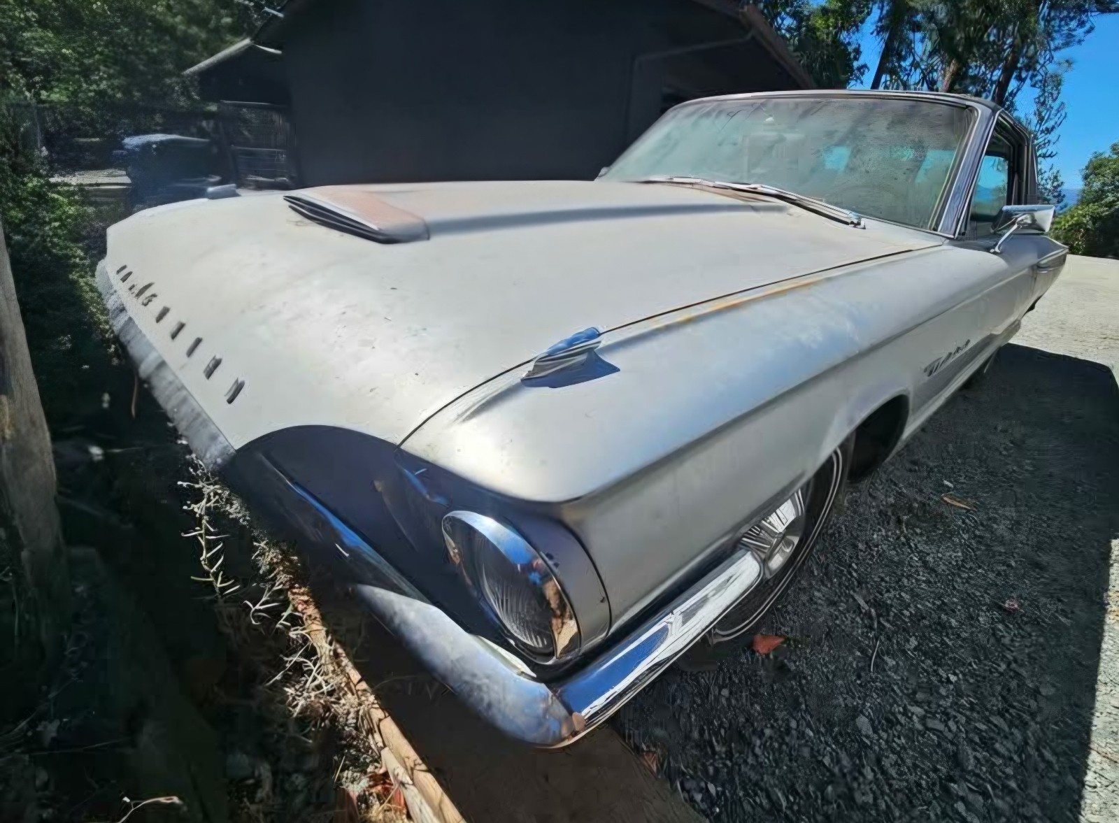 Ford-Thunderbird-1964-1