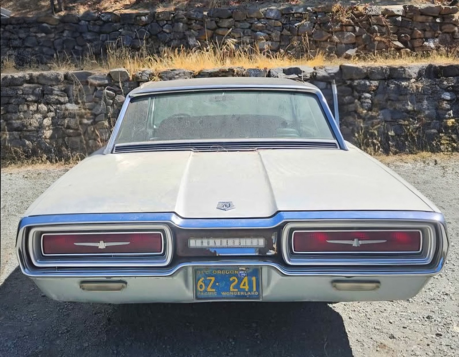 Ford-Thunderbird-1964-3