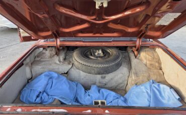 Ford-Thunderbird-1965-Burnt-orange-Ivory-9