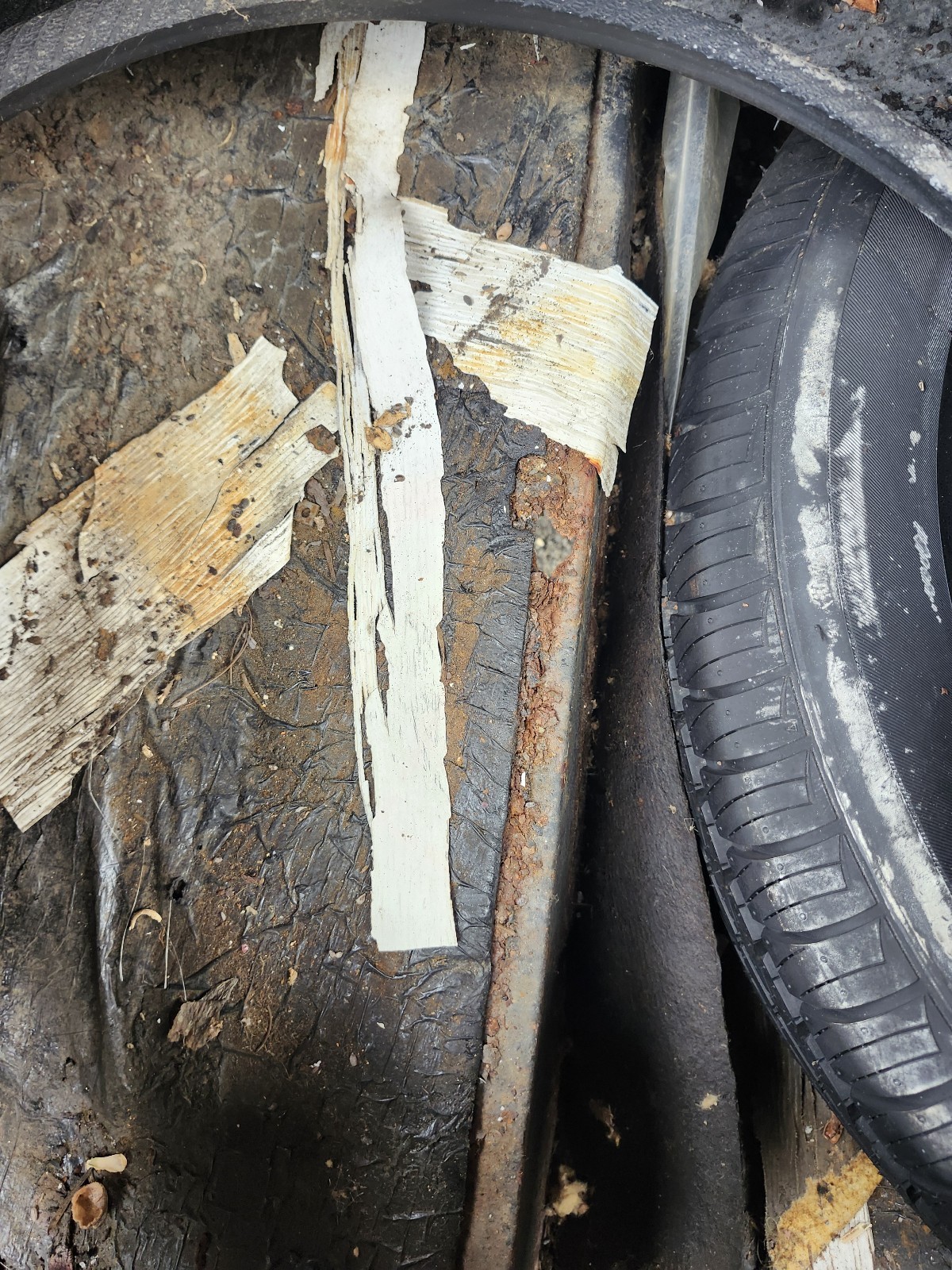 Ford-Thunderbird-1965-Coupe-20