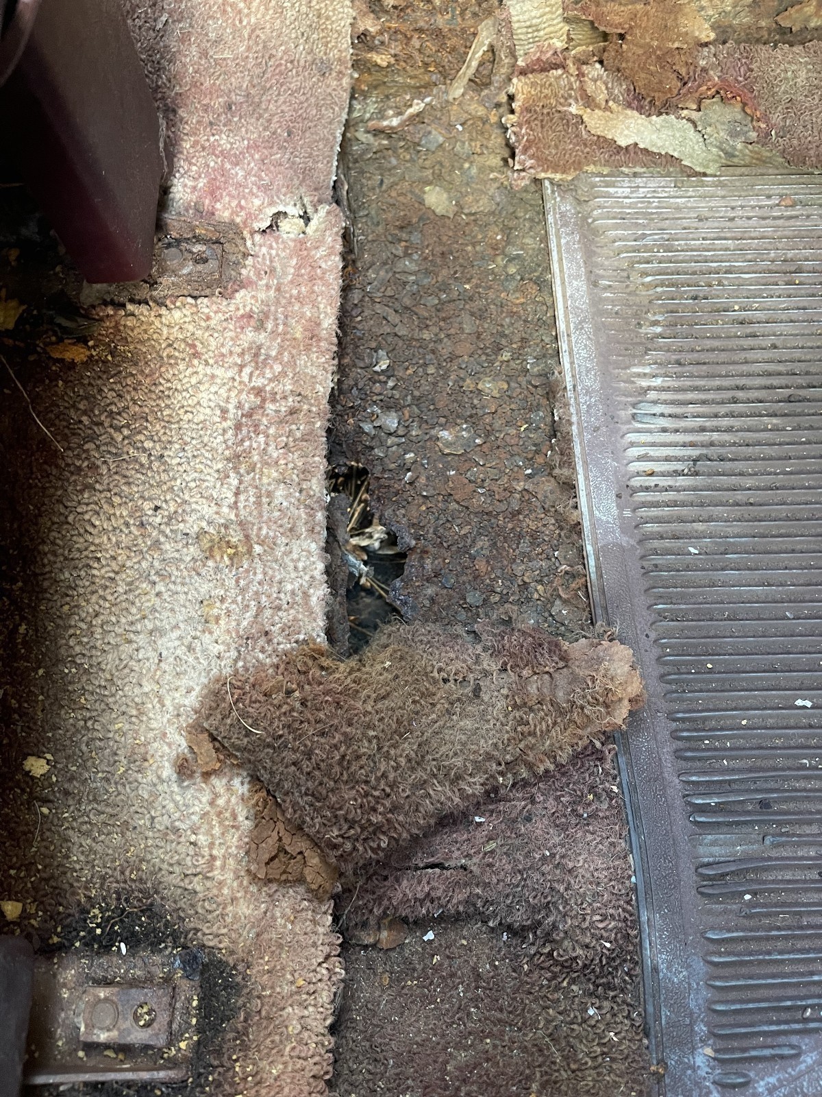 Ford-Thunderbird-1965-Coupe-21