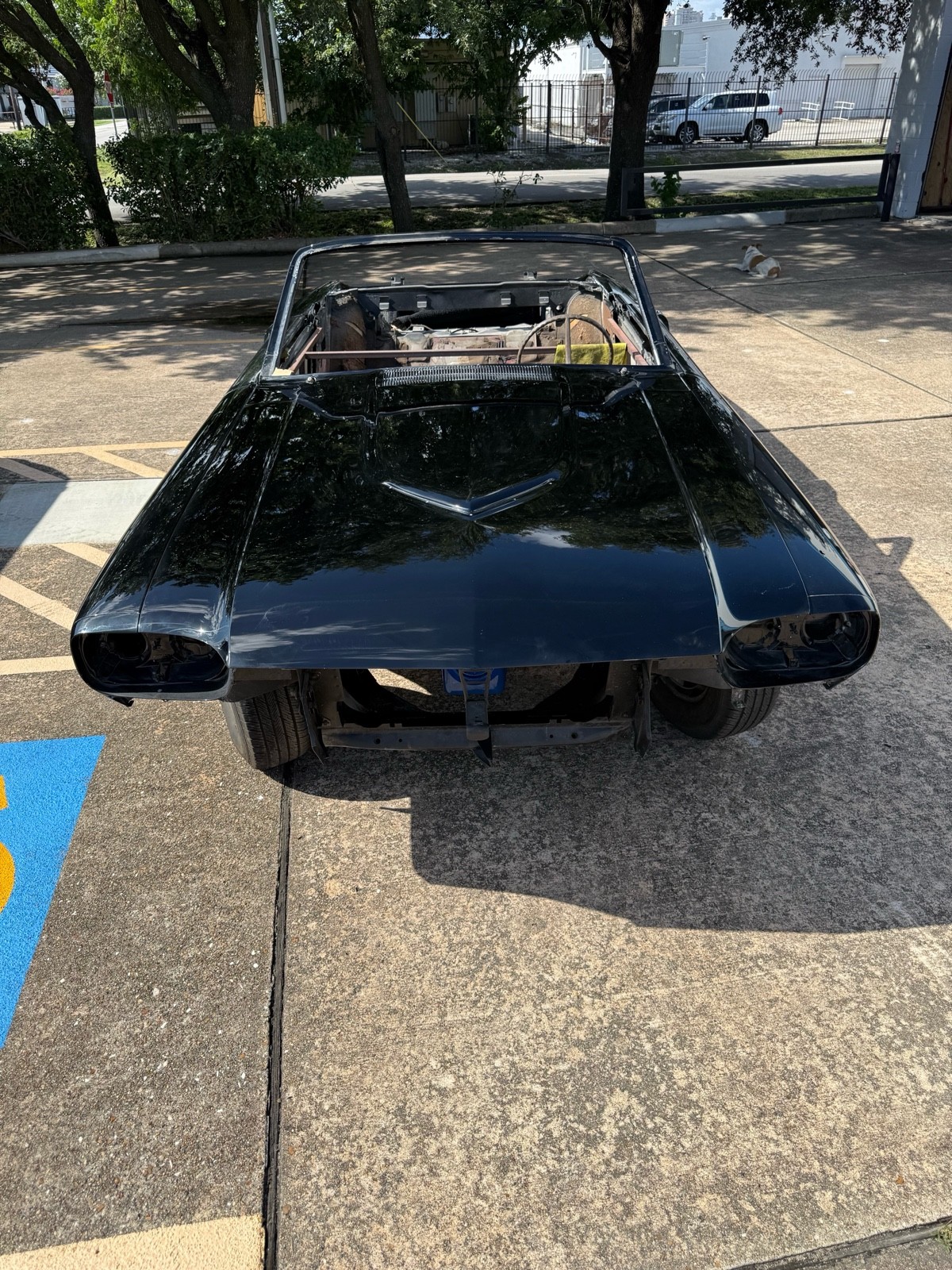 Ford Thunderbird 1966 Convertible