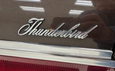 Ford-Thunderbird-1972-Dark-Brown-Metallic-Ginger-31