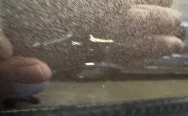 Ford-Thunderbird-1972-Dark-Brown-Metallic-Ginger-41