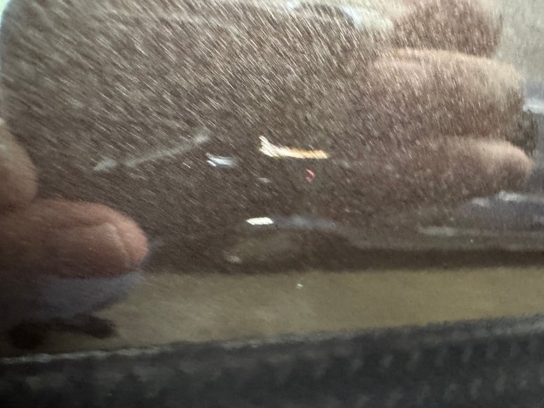 Ford-Thunderbird-1972-Dark-Brown-Metallic-Ginger-41