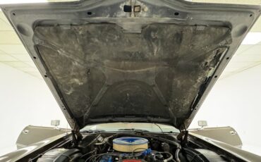 Ford-Thunderbird-1972-Dark-Brown-Metallic-Ginger-44