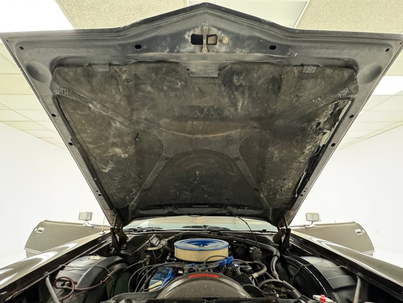 Ford-Thunderbird-1972-Dark-Brown-Metallic-Ginger-44