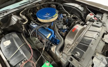 Ford-Thunderbird-1972-Dark-Brown-Metallic-Ginger-45