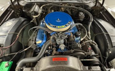 Ford-Thunderbird-1972-Dark-Brown-Metallic-Ginger-46