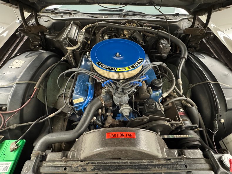 Ford-Thunderbird-1972-Dark-Brown-Metallic-Ginger-46