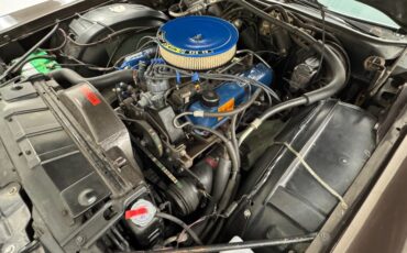 Ford-Thunderbird-1972-Dark-Brown-Metallic-Ginger-47