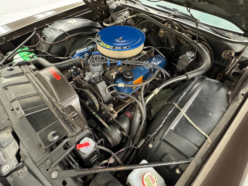 Ford-Thunderbird-1972-Dark-Brown-Metallic-Ginger-47