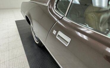 Ford-Thunderbird-1972-Dark-Brown-Metallic-Ginger-8