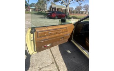 Ford-Thunderbird-1972-Yellow-Brown-10
