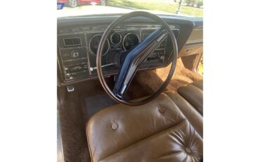 Ford-Thunderbird-1972-Yellow-Brown-11
