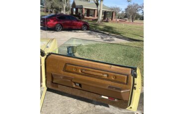 Ford-Thunderbird-1972-Yellow-Brown-6