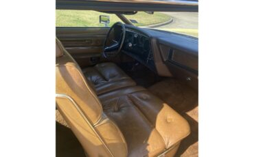 Ford-Thunderbird-1972-Yellow-Brown-7