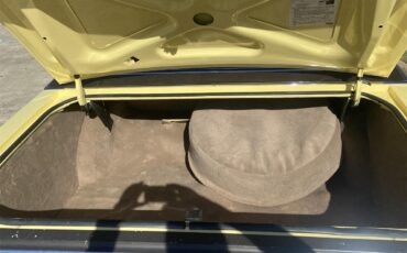 Ford-Thunderbird-1972-Yellow-Brown-9