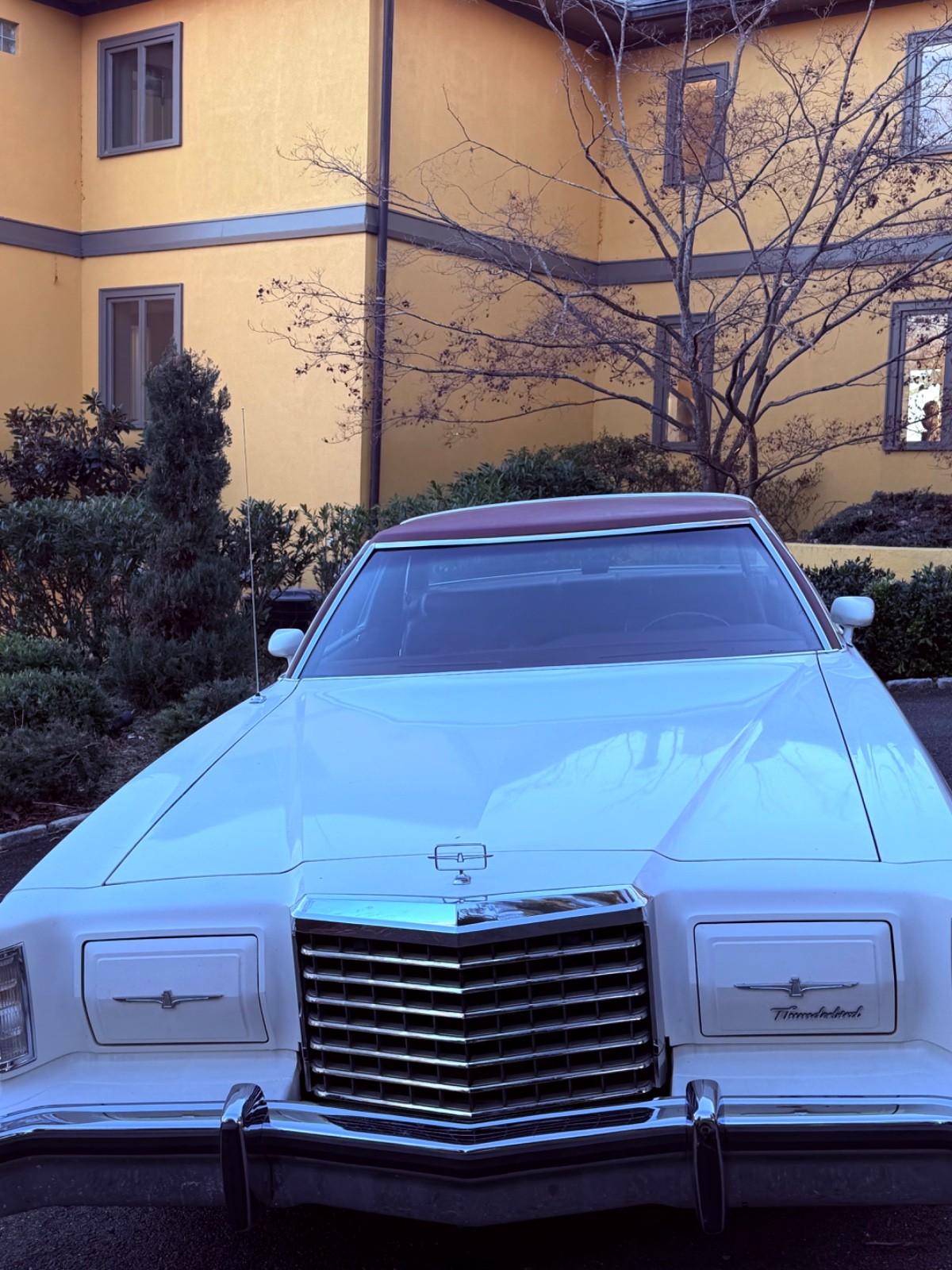 Ford-Thunderbird-1977-Coupe-14