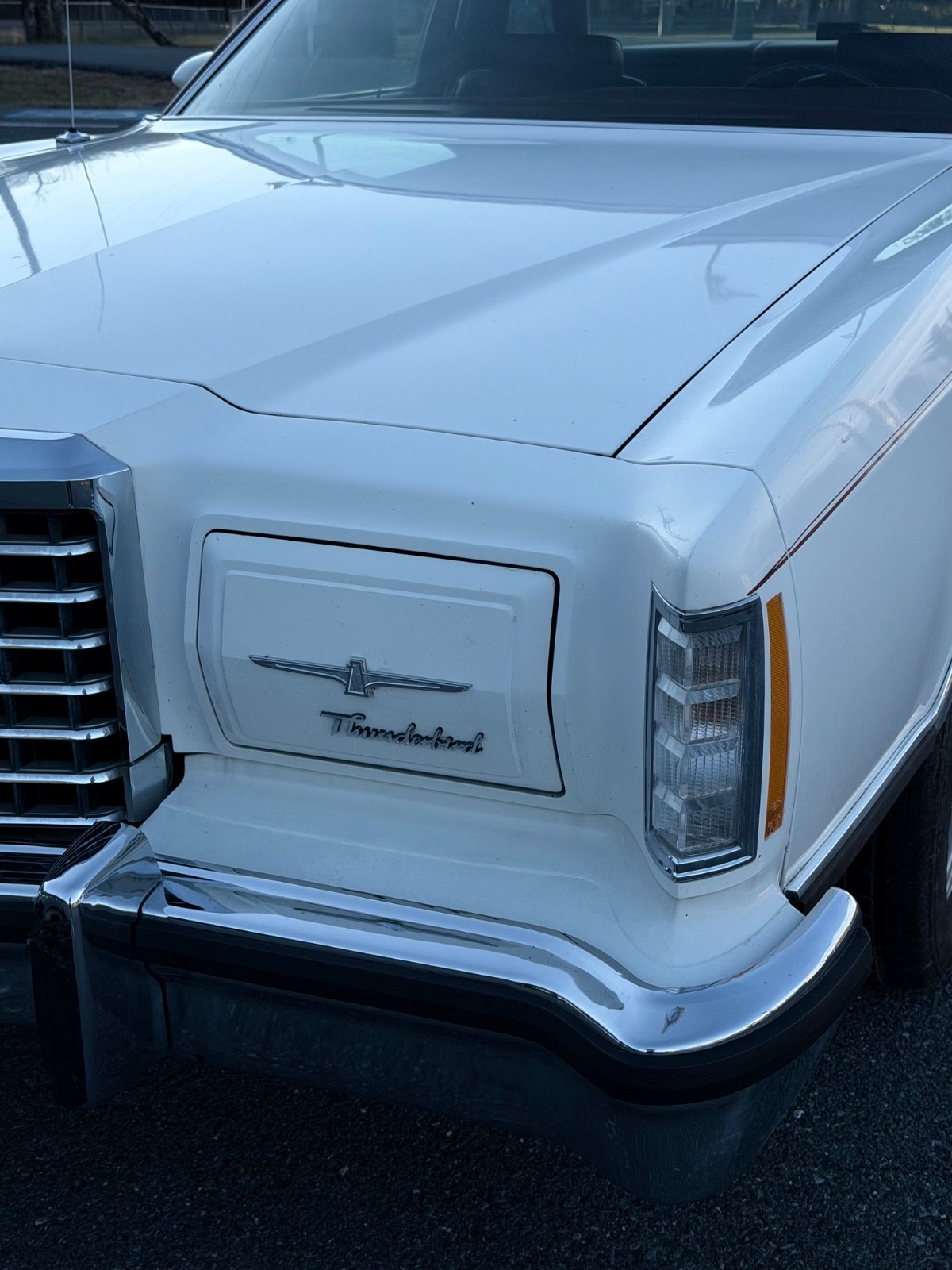 Ford-Thunderbird-1977-Coupe-17