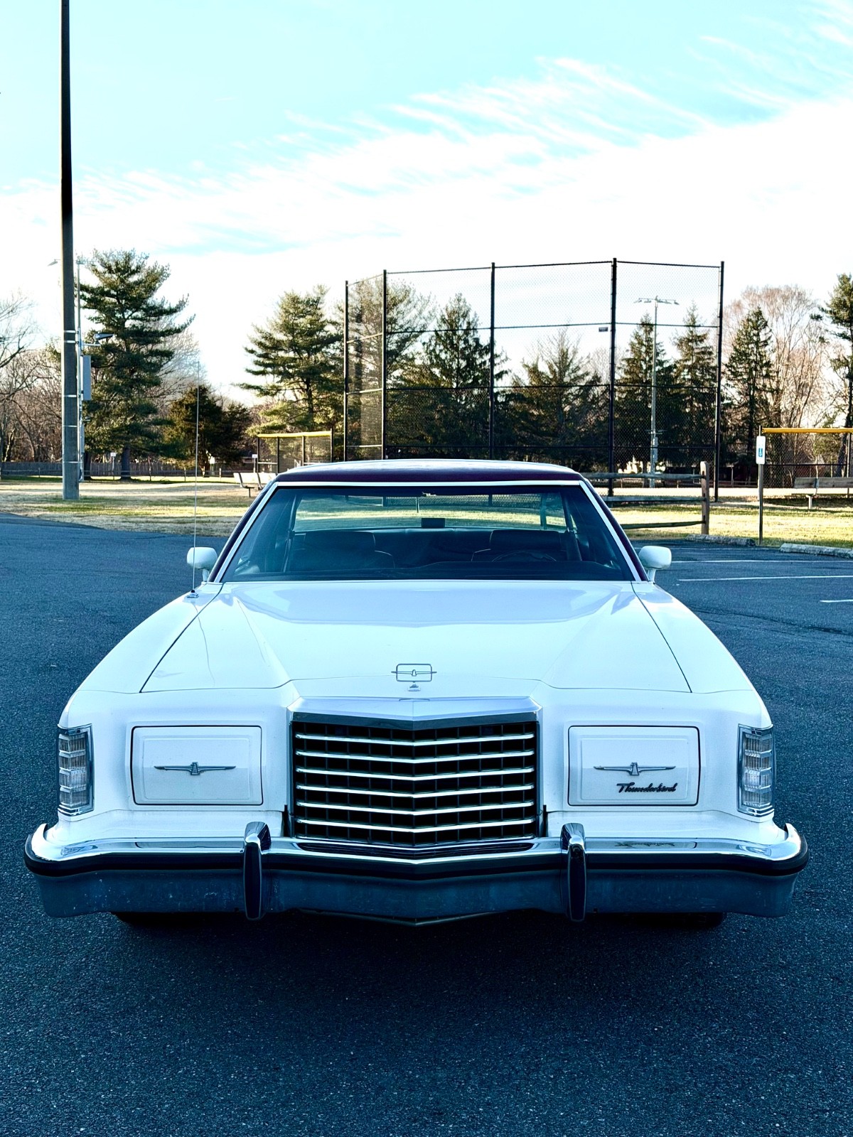 Ford-Thunderbird-1977-Coupe-8