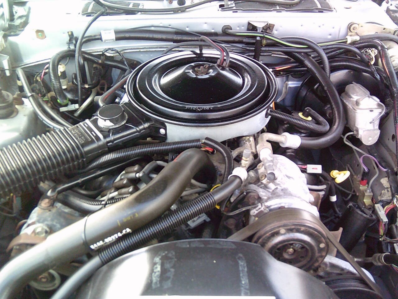 Ford-Thunderbird-1985-Sedan-16